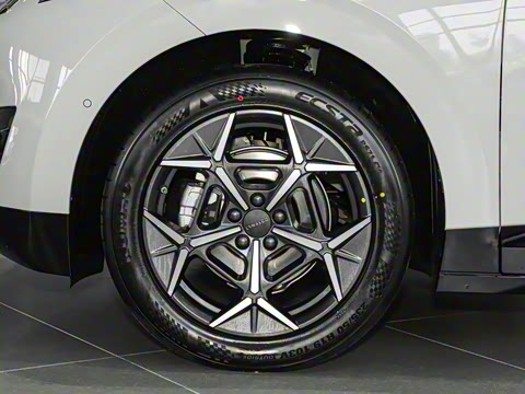 2025�� 530km ����Pro