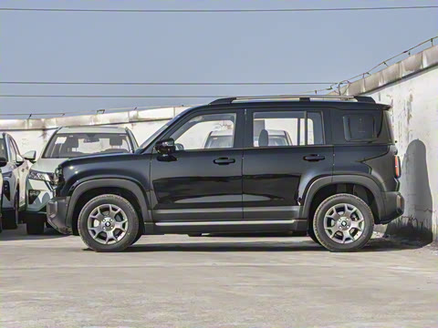 2025�� ����� 5��