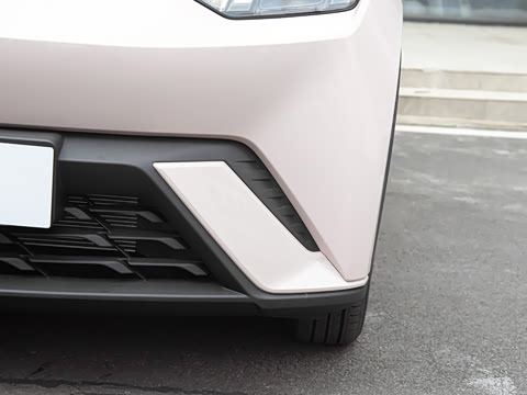 2025�� 305km ������