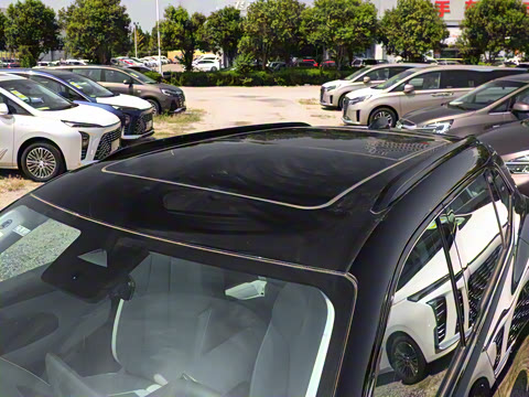 2023�� ������������