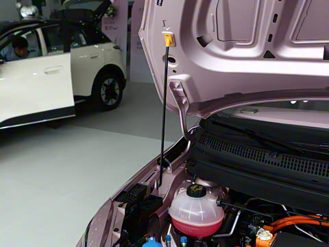 2024�� 301km �ǹ�