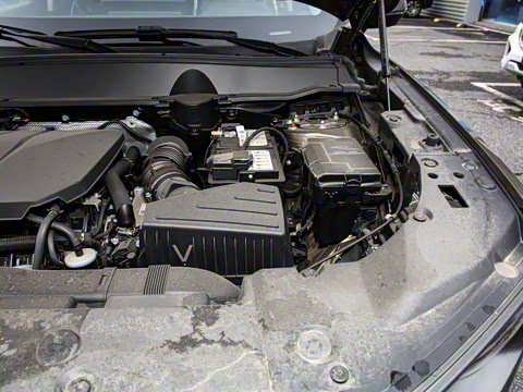 2023�� 2.0T ������Ұ��