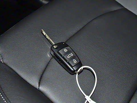 2025�� 1.5L �ֶ�������