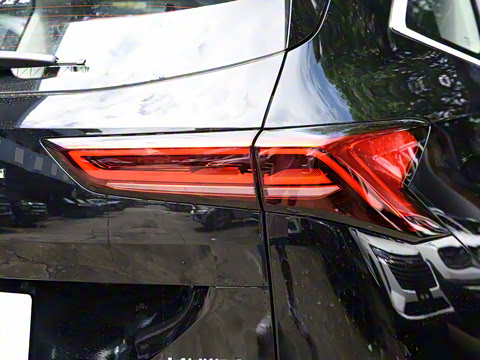 2024�� 2.0T ����Max