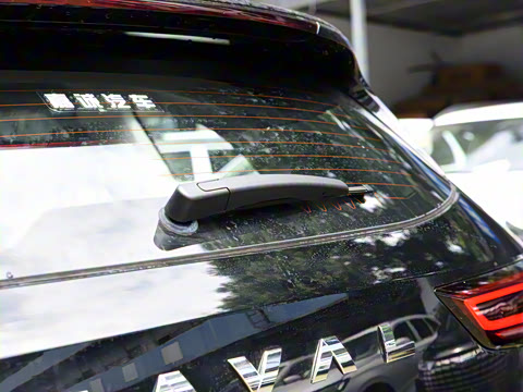 2024�� 2.0T ����Max