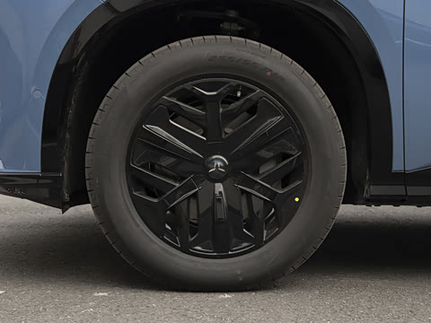 2025�� 730 Max������