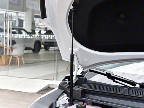 2024�� ���� ���������� ������