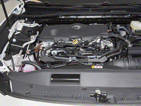 2024�� ˫�� 2.5HXS �˶�Plus��