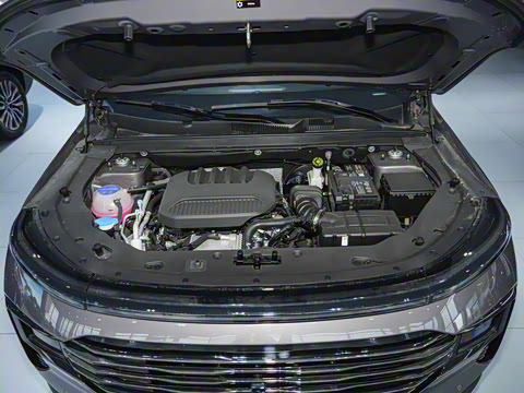 2025�� 1.5T �콢�� 7��