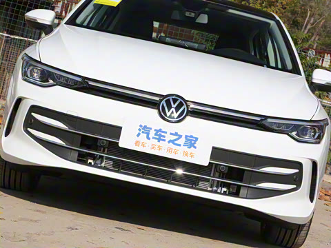 2025�� 300TSI Pro