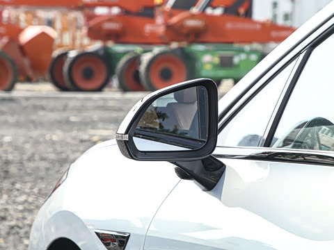 2025�� 520������