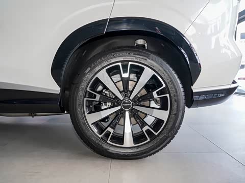 2024�� 135�콢��