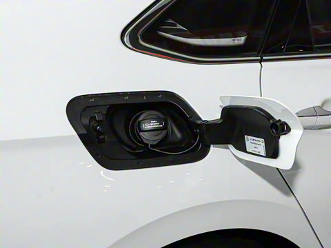 2024�� 300TSI DSG��Խ��