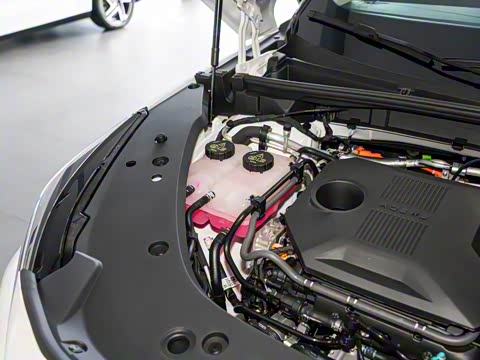 2024�� 135�콢��