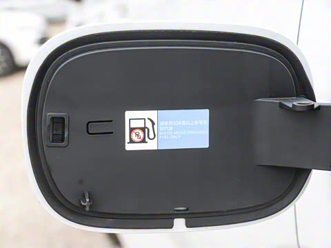 2025�� DM-i 1.5T 100km �캽��