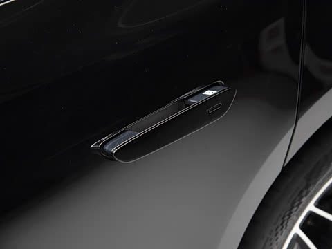 2025�� EV ����������