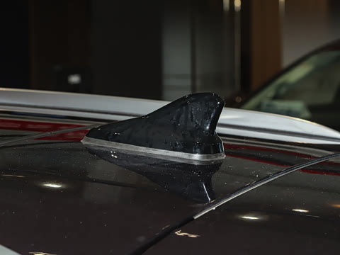 2024�� �Ŀ� PURE+