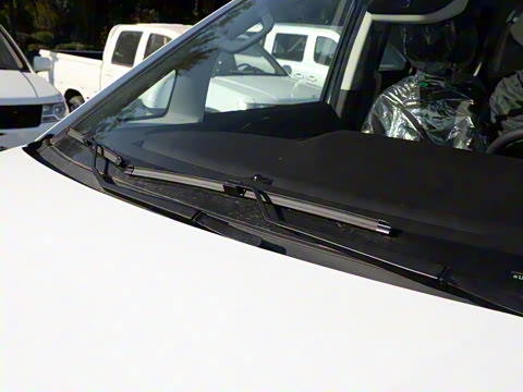 2025�� 401km ���� 7��