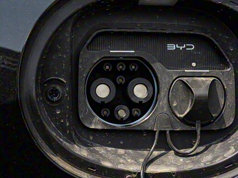 2025�� 150 �캽+��