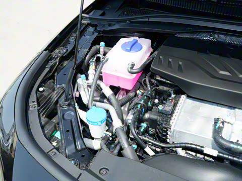 2025�� 145km ������