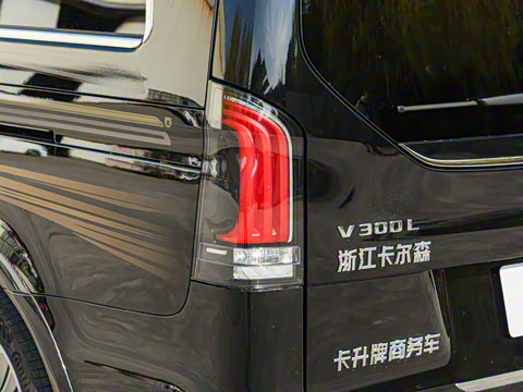 2025�� V 300 L ������˹ �˶���