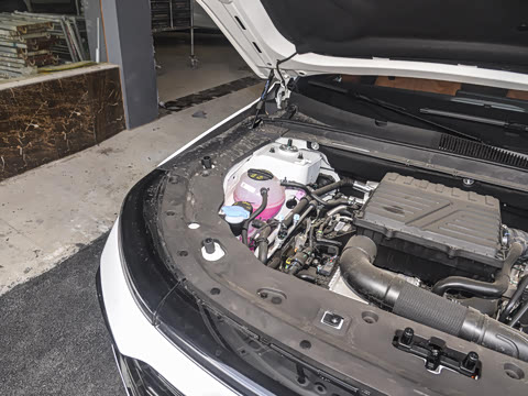 2025�� ������ 5��