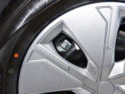 2025�� ��������