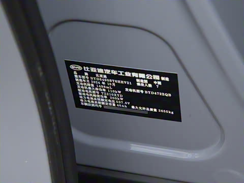 2025�� DM-i 115KM ������