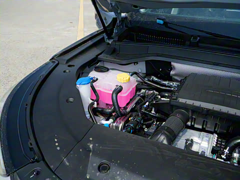 2025�� 120 ������������� 5�� �������