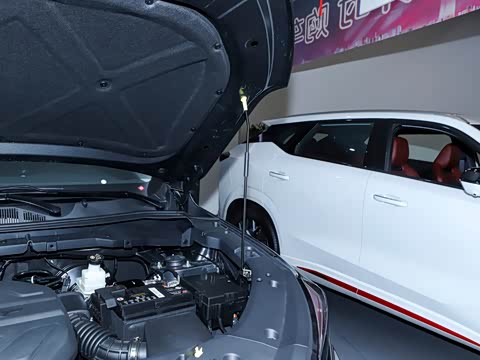 2024�� 1.5T �Զ���ҫ�� 7��