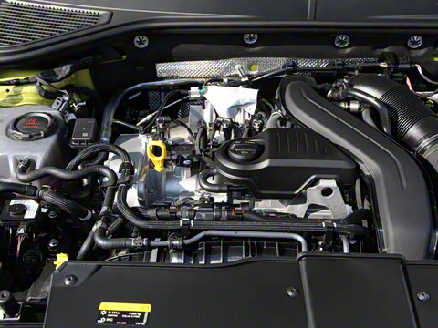 2025�� 300TSI DSG���������