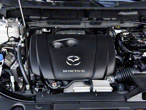 2025�� 2.0L �Զ���������Pro