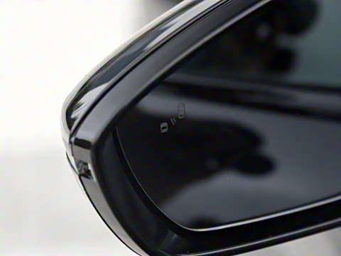 2024�� ����300 Max��