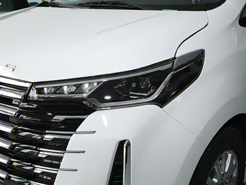 2025�� MAX 2.0T �Զ������� ���� 7��