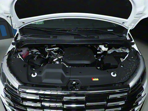 2025�� MAX 2.0T �Զ������� ���� 7��