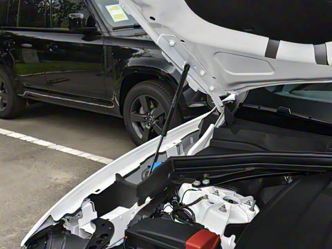 2025�� P250 R-Dynamic SE