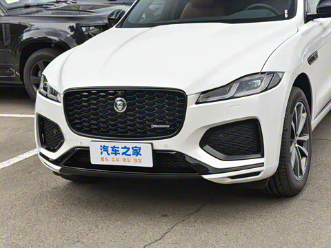 2025�� P250 R-Dynamic SE