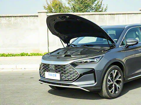 2025�� DM-i 115KM ������