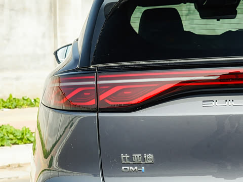 2025�� DM-i 115KM ������