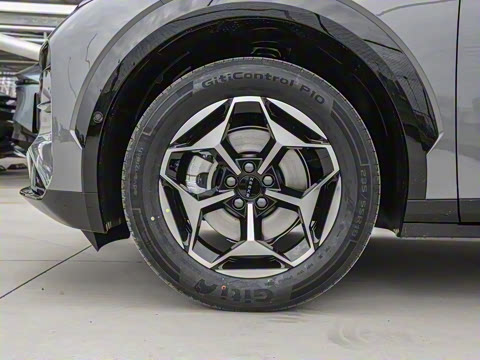 2025�� ������������