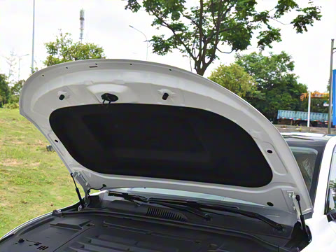 2024�� ���� 525������