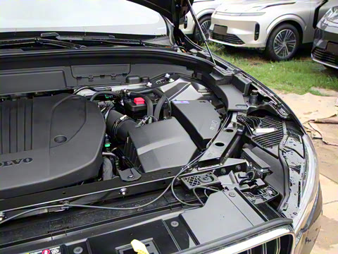 2025�� B5 �������ݺ�����