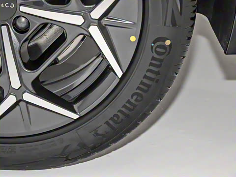 2025�� 530km ����Max