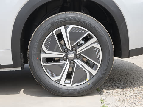 2025�� 55km ������