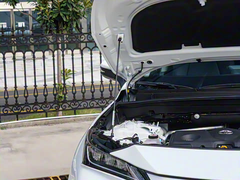 2024�� 2.5L���ܵ��˫�� ����������