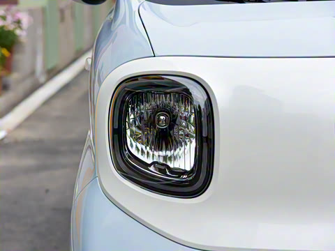 2025�� 222km ������