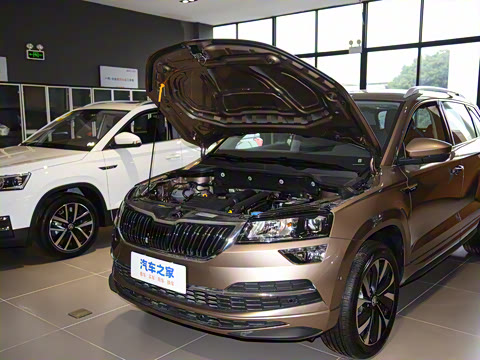 2025�� TSI280 ������