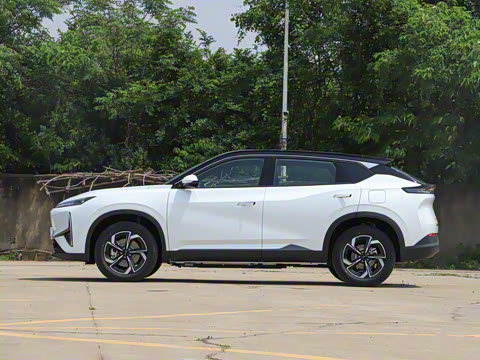 2025�� 205��������������