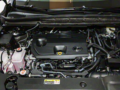 2025�� 350h ����������