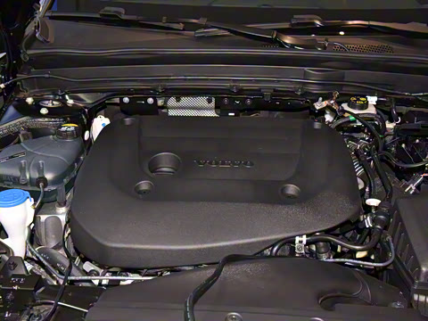 2025�� B4 ������Զ��ҹ�ڰ�